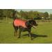 Yoko Mens YK180/HVDW15 High Visibility Dog Vest - Bright Orange Safety Gear for Dogs - Buy Online on GoSupps.com