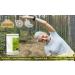 Ausha Organic Papaya Leaf Powder 100g | Boost Platelet Count & Immunity | Soil Association Certified - Buy Online on GoSupps.com