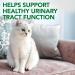 Vet's Best Cat Urinary Tract Support Chewables - Promotes Healthy Urinary Tract | 60 Tablets - Buy Online on GoSupps.com