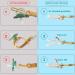 MOMU 4pcs Silicone Dummy Clips - Cute & Stylish Pacifier Holders (4 Colors) - Buy Online on GoSupps.com
