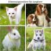 Shop Multi-Colored Adjustable Collars for Small Dogs & Puppies - Nylon ID Tapes | 15 Colors Available - Buy Online on GoSupps.com