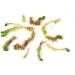 Fresh Sphagnum Moss Live 5 kg - Ideal for Orchids & Terrariums | Premium Quality eCommerce Shipping Internationally - Buy Online on GoSupps.com