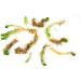 Fresh Sphagnum Moss - Live 0.5kg for Orchids & Terrariums | Premium Quality International Shipping - Buy Online on GoSupps.com
