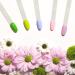 200pcs Clear Stiletto Nail Swatch Sticks with Ring Holder - Nail Art Practice & Display - Buy Online on GoSupps.com