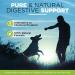 BUDDY'S BEST Natural Dewormer For Dogs & Cats | Intestinal Tract Support Formula - Buy Online on GoSupps.com