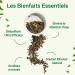 Nature Slim Tea Extra Strong - Slimming Herbal Tea with Purifying Detoxifying and Laxative Effects - Detox Tea Improves Digestion - Buy Online on GoSupps.com