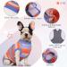 Kuoser Dog Recovery Suit - Breathable Post-Op Body for Male & Female Dogs Anti-Wound Support E-Collar Alternative in Orange & Blue - Buy Online on GoSupps.com