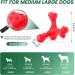 Shop Cvalin Dog Toys for Large Breeds | Aggressive Chew Cubes & Dental Cleaning Stick - Red - Buy Online on GoSupps.com