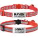 Tagme 2 Pack Cat neck band with name and telephone number cat collar with safety clasp and bell 15-20 cm for kittens red kitten 15-20cm red