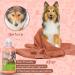 Nobleza Dog Shampoo for Itching & Mites - Anti-Bacterial Sensitive Formula for Cats Puppies & Kittens - 250ml Red - Buy Online on GoSupps.com