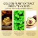 24K Gold Under Eye Patches - 60Pcs Collagen Treatment Masks for Puffy Eyes, Dark Circles, and Wrinkles - Buy Online on GoSupps.com