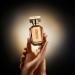 Hugo Boss The Scent Eau de Parfum Ambery Women's Perfume With Notes of Honeyed Peach Freesia Bloom Osmanthus Flower & Roasted Cocoa Long Lasting Fragrance 2 piece set (1.6 fl oz. + 2.5 fl oz.) - Buy Online on GoSupps.com