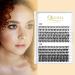 QUEWEL Individual Cluster Lashes - 240 Pieces 0.07C Curl DIY Eyelash Extensions (40D & 50D Mix 8-14mm) for Natural Look - Buy Online on GoSupps.com
