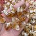 1pc Random Rough Natural Citrine Point Quartz Crystal Cluster Raw Specimen Stone Rock Ornaments Home Decoration - Buy Online on GoSupps.com