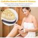 Gentle Dry Body Brush for Cellulite Removal & Soft Skin | Improve Blood Circulation | Set of 2 Brushes with Wall Hooks - Buy Online on GoSupps.com