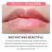 Hocossy Lip Essential Oil Reduce Lip Lines Nursing Olive Essence Lip Oil Moisturizing Lip Care Oil Makeup Prime Lip Oil - Buy Online on GoSupps.com
