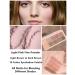 Go Ho 10 Color Matte Eyeshadow Palette - Highly Pigmented Waterproof Shadows in Light Pink & Brown - Spring Warm Collection - Buy Online on GoSupps.com