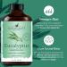 Handcraft Blends Bright & Refreshing Set: Eucalyptus and Grapefruit Essential Oils (2 x 4 Fl Oz) 100% Pure & Natural for Diffuser Aromatherapy - Buy Online on GoSupps.com