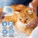 Jaswell Self-Cleaning Cat Brush for Shedding & Grooming | Slicker Brush for Cats & Dogs - Blue - Buy Online on GoSupps.com