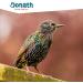 DONATH BALKON MIX - Shell-Free Wild Bird Feed for Clean Balconies - 1 kg Pack - Premium Year-Round Bird Food from Southern Germany - Buy Online on GoSupps.com