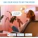 WiZ Connected 60W Daylight Smart WiFi Light Bulb | Dimmable 5000K | Compatible with Alexa & Google Home | No Hub Required | 1 Count - Buy Online on GoSupps.com