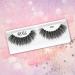 Ardell Mega Volume Lash 258 False Lashes - Curl Technology - 4 pairs - Buy Online on GoSupps.com