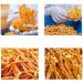 Buy SIFANGDA Cordyceps Flower - Dried Cordyceps Mushroom Militaris (500g) | Premium Quality International Shipping - Buy Online on GoSupps.com