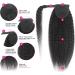 Ponytail Extension Human Hair Ponytail Kinky Straight Wrap Around Ponytail Extensions Brazilian Remy Hair Yaki Pony Tail Hairpiece Clip In Ponytail Extensions Ponytail Hairpiece for Women (Size : 16 16inches 100g - Buy Online on GoSupps.com