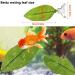 2 Pieces Betta Bed Leaf Hammock for Betta Fish Floating Betta Bed Leaf Hammock Aquariums Artificial Betta Hammock Leaf Hammock for Fish Fish Rest Plant Leaf Bed Resting Spot for Betta Fish - Buy Online on GoSupps.com
