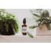 Night Serum Dream Deep 2 Oz - Luxurious Anti-Aging Formula for Radiant Skin | Free Worldwide Shipping - Buy Online on GoSupps.com