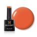 Bluesky Gel Nail Polish Pumpkin Spice Bp01 10 ml Orange Red Long Lasting Chip Resistant 10 ml (Requires Drying Under UV LED Lamp) Pumpkin Spice 10 ml (Pack of 1)