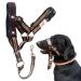 Alpha Boy dog training collar comfortable and gentle dog half for all breeds easy-to-use dog handlebars real leather strap one-piece dog-pulling harness with quick lock buckle (XXL)