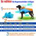 Buy DQGHQME Waterproof Dog Rain Jacket - Adjustable Reflective Coat for Large Medium & Small Pets - Ultra-Light Dog Rain Cape in Blue & Orange - Buy Online on GoSupps.com