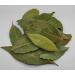 AgoraMarket Wild Dried Bay Leaves 85g 195KG Selected 460 grams - Buy Online on GoSupps.com