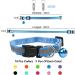Buy Magrimaxio 10-Piece Adjustable Cat Collars | Personalized Reflective Collars with Safety Clasp & Bell | International Shipping - Buy Online on GoSupps.com