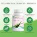 AloeCure Daily Probiotics 10 Billion CFU for Digestive Support 8 Strains 6 Prebiotics & Enzymes - Digestive Supplement with Bromelain for Women & Men - Gut Support Digestive Relief 30 Caps x 6btls - Buy Online on GoSupps.com