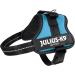 K9 Powerharness S/Mini - Aquamarine | Shop Internationally for the Best Dog Harness  - Buy Online on GoSupps.com
