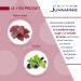 JUVAMINE - Light Legs - Red Blackcurrant Vine - Promotes Circulatory Well-Being - Action on the Venous System of the Legs - 30 days program - Made in France - Buy Online on GoSupps.com