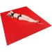 eXODA Incontinence Sheet & Undersheet Mattress Pad - Red 180x220 cm Ideal for Adults & Children - Buy Online on GoSupps.com