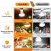 MIXJOY 2 Pack Reptile Heat Lamp 100W UVA Daylight Basking Spot Light Amphibians Basking Bulbs Heat Lamps Heat Lamp Bulbs for Reptiles Lizard Tortoise Bearded Dragon - Buy Online on GoSupps.com