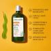 Hair Fall Control Shampoo - 100% Vegan Aloe Vera Infused Eco-Friendly & Cruelty-Free | No Parabens or Silicones - 12 fl oz - Buy Online on GoSupps.com