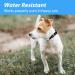 Luminous USB-C LED Dog Collar | Waterproof Light-Up Collar for Small & Medium Dogs | 7 Color Flashing Adjustable Size (28-40cm) - Buy Online on GoSupps.com