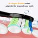 JTF Replacement Electric Toothbrush Heads - 3 Medium Medium-Soft Bristle Brushes for P200 - International Shipping - Buy Online on GoSupps.com