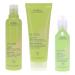 Aveda Be Curly Shampoo 8.5 Oz Conditioner 6.7 Oz & Be Curly Style-Prep 3.4 Oz