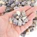Buy Orienttrea 500g Blue Quality Stone Drum Stones - Healing Gemstones Charging Stones Mini Chips - Gift Boxed - Buy Online on GoSupps.com