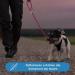 Premium Adjustable Dog Leash - 2m Reflective Weatherproof Tearproof | Paracord for Small to Large Dogs (Up to 15kg) - Pink & Black - Buy Online on GoSupps.com