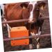 Balacoo Cattle Salt Block Feeder Cattle Sheep Food Bowl Livestock Feeding Bucket Farm Livestock Salt Block Feeding Box for Sheep Goat Pup Dog Farm Supplies Accessory Orange Livestock Feeder Bowl - Buy Online on GoSupps.com