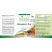 Fairvital | Cinnamon Plus - Bulk Pack for 3 Months - Vegan - HIGH Dosage - 90 Capsules - Cinnamon Extract with Chromium and zinc - Buy Online on GoSupps.com
