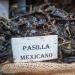 8oz Pasilla Dried Chiles - Versatile Mexican Peppers for Medium Heat Salsa | 1400s Spices 8 Ounce Pack - Buy Online on GoSupps.com
