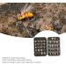 40-Piece Fly Fishing Fly Set - Dry Fly Bait & Accessories with Box for Trout Fishing - Buy Online on GoSupps.com